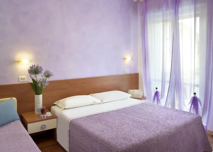 Albicocco Hotell Riccione